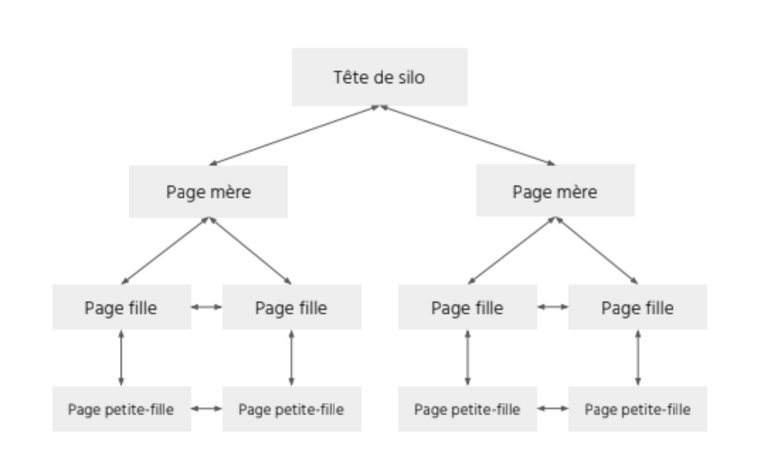 maillage-interne-cocon-mere-fille